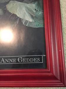 lot 98 image: Anne Geddes Framed Print
