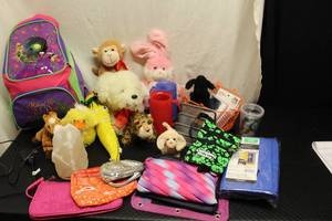 Tinkerbell Tent in Backpack, Pl...