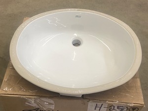 lot 22 image: American Standard Lucerne Sink