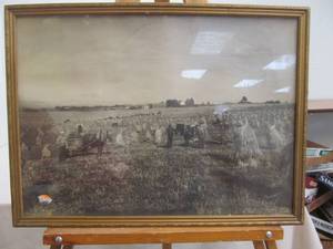 lot 102 image: vintage photograph picking up Bundles