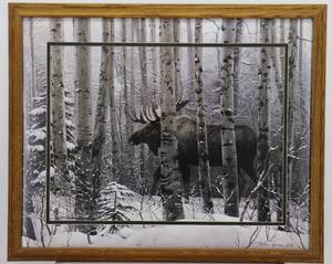 lot 13 image: A Walk in the Woods by Stephen Lyman