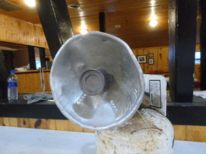 Sunflower Heater