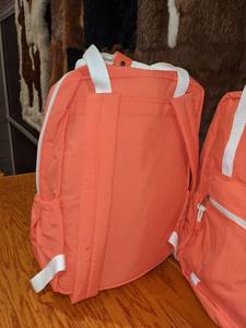 lot 172 image: 2 Wild Fable Backpacks, New