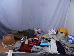 lot 186 image: New Hats, Gloves, and More