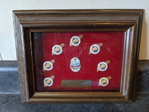 lot 30 image: Pro Football Hall of Fame 1987 #563 Collector Series Pin Set - Framed