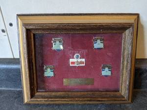 lot 32 image: Pro Football Hall of Fame 1989 #563 Collector Series Pin Set - Framed
