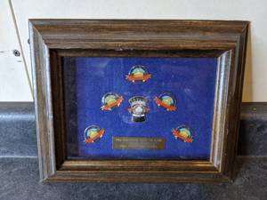 lot 33 image: Pro Football Hall of Fame 1991 #563 Collector Series Pin Set - Framed