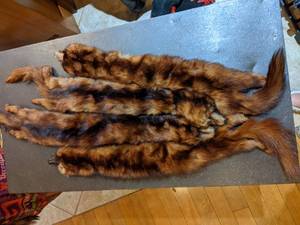 lot 293 image: Mink Fur Cape with front closure