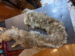 lot 294 image: Fox Fur Cape with front closure