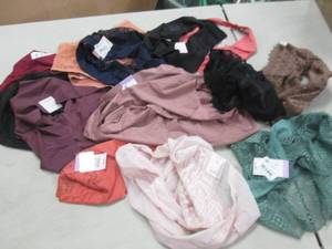 Lot of Size 16(XL) Assorted Panties...