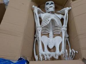 lot 49 image: Skeleton IndoorOutdoor Decoration...