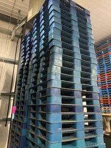 lot 5 image: BLUE PLASTIC PALLETS