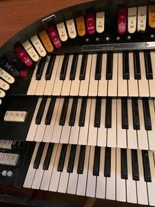 Organ