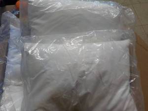 lot 18 image: 2 - 10 x 14 Williams Sonoma Pillows...