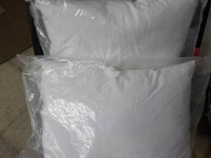 lot 22 image: 2 - 10 x 14 Williams Sonoma Pillows...