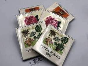 lot 292 image: Set of 2021 Cavallini & Co.(2) House Plant (2) Botanica, and (2) Vintage Owl Desk Calenders