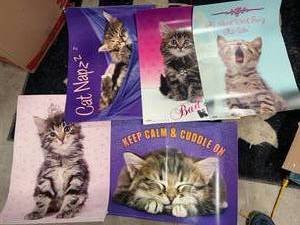 lot 66 image: Lot of 5 Vintage Scholastic Kitty Posters 18 x 24