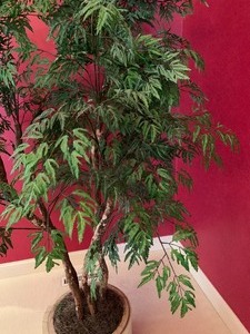 lot 7 image: Large Artificial PlantTree