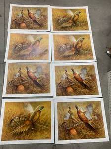 lot 30 image: Lot of 8 Donald Art 1973 Pheasant Prints