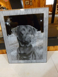 Black Labrador Dog Reversed Etching