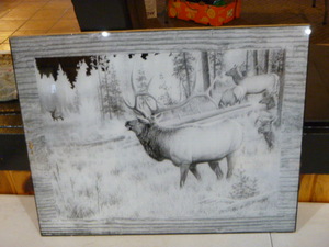 Mule Deer Reversed Etching