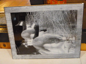 Geese Reversed Etching