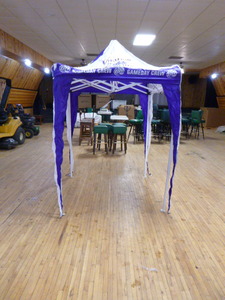 Minnesota Vikings Canopy