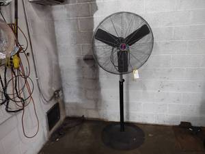 lot 51 image: 30 Pedestal Fan...