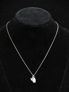 lot 163 image: Sterling Silver Chain with State of Texas Pendant