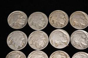 lot 111 image: 20 Buffalo Nickels