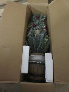 lot 52 image: Potted Tree  with berries open box,...