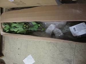 lot 66 image: Potted Faux Tree open box ...