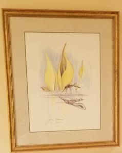lot 28 image: Indigenous Mosquito Insect Watercolor Print by Artist Sue Coleman Signed Numbered 223350