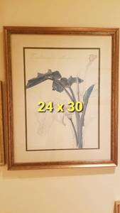 lot 39 image: Botantical Litho by Thalia Lincoln  Zantedeschia Aethiopica