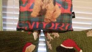 lot 68 image: Hooked Decorative Throw Pillows with Winter Dog Theme, set of 3