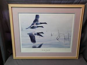 Silent Wings - Canada Geese by Gary Moss,