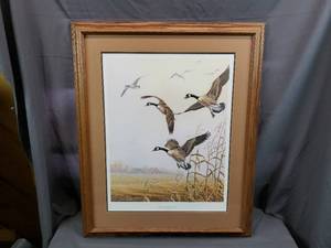 Autumn Mist - Canada Geese by Dave Chapple, 2971500