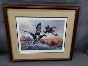 Madison Mallards by John C. Green
