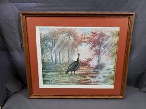 Greg Budig Print of a Wild Turkey, 24302400