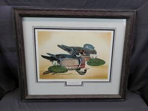 Placid Water - Wood Ducks by Glenn D. Chambers, 11431550