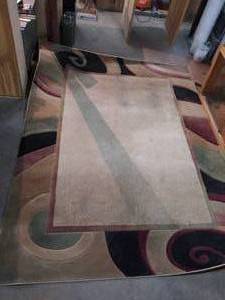 7 x 10 Evolution Rug