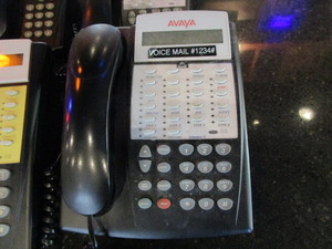 lot 181 image: Avaya Phone System