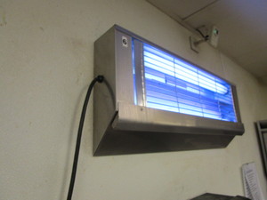 lot 12 image: Insect Trap