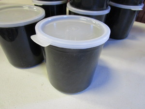 lot 246 image: (12) Food Containers