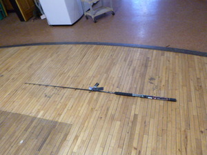lot 117 image: New Penn Carnage II Rod