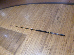 lot 119 image: New Penn Ally Rod