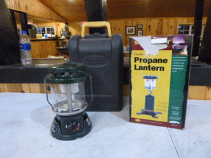 lot 176 image: 2 Propane Lanterns