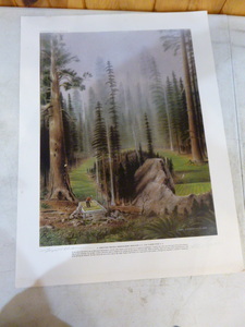 lot 189 image: Print of Trevino Trails Horseshoe Hallow