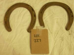 Horseshoes x2...