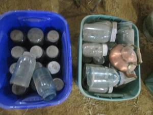 lot 103 image: 2 Totes of canning Jars...
